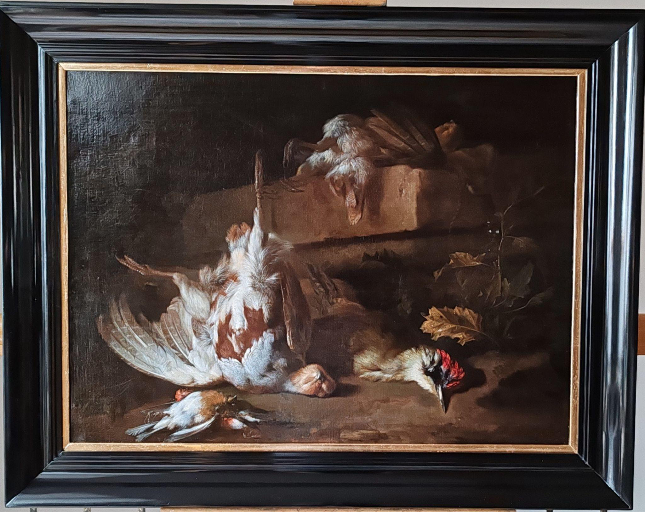 Z&aacute;ti&scaron;ie s vt&aacute;kmi